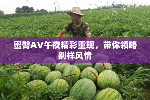 蜜臀AV午夜精彩重现，带你领略别样风情