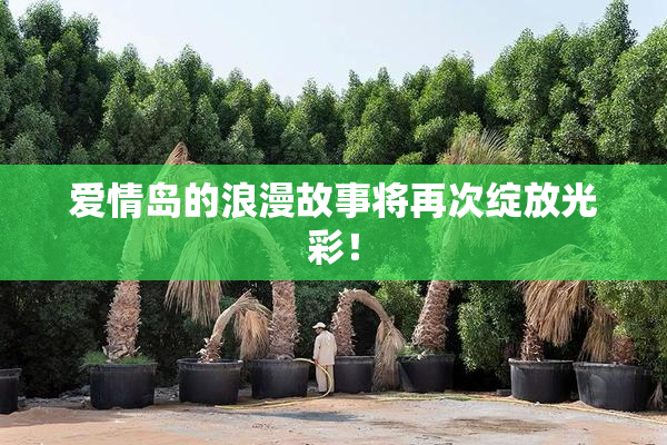 爱情岛的浪漫故事将再次绽放光彩！
