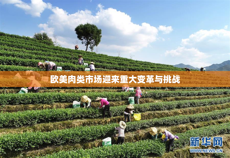 欧美肉类市场迎来重大变革与挑战
