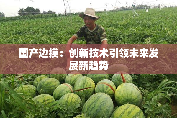 国产边摸：创新技术引领未来发展新趋势