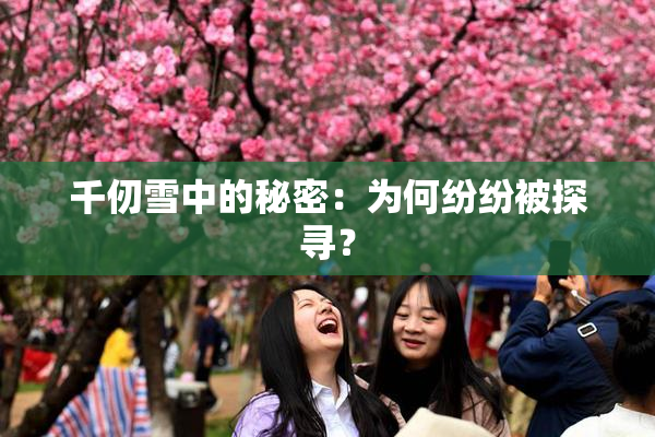 千仞雪中的秘密：为何纷纷被探寻？