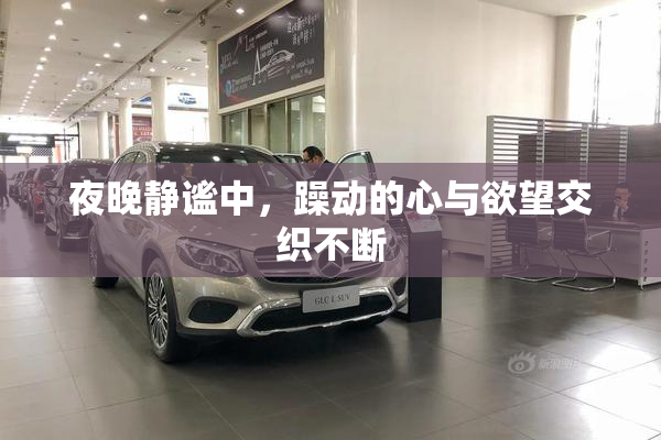 夜晚静谧中，躁动的心与欲望交织不断