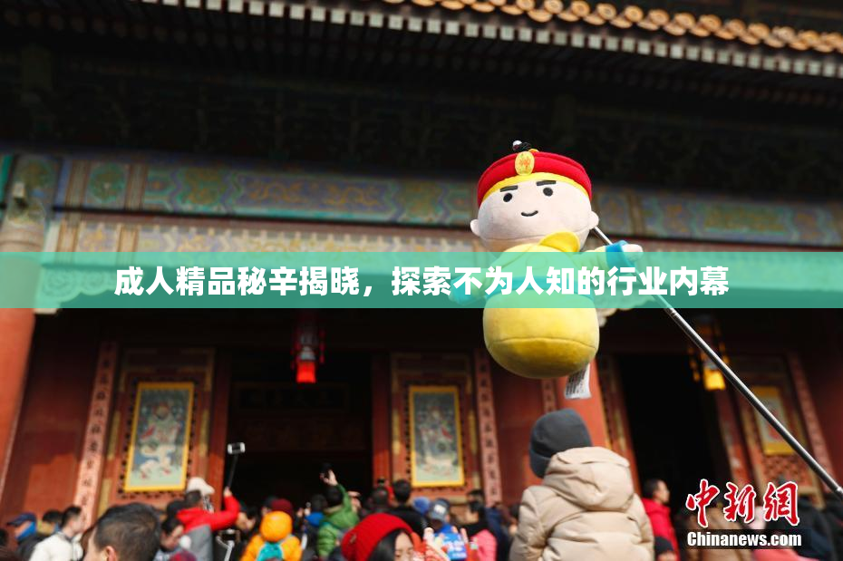 成人精品秘辛揭晓，探索不为人知的行业内幕