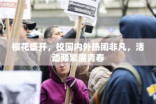 樱花盛开，校园内外热闹非凡，活动频繁展青春