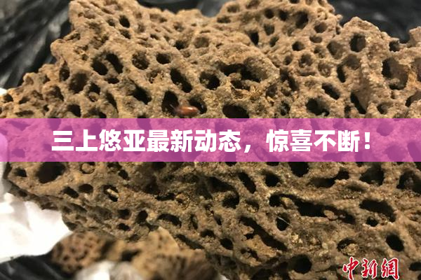 三上悠亚最新动态，惊喜不断！