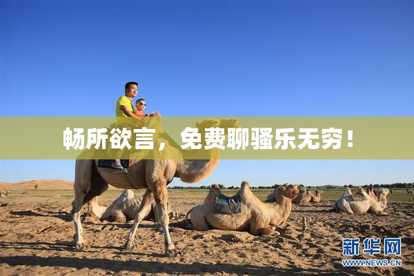畅所欲言，免费聊骚乐无穷！