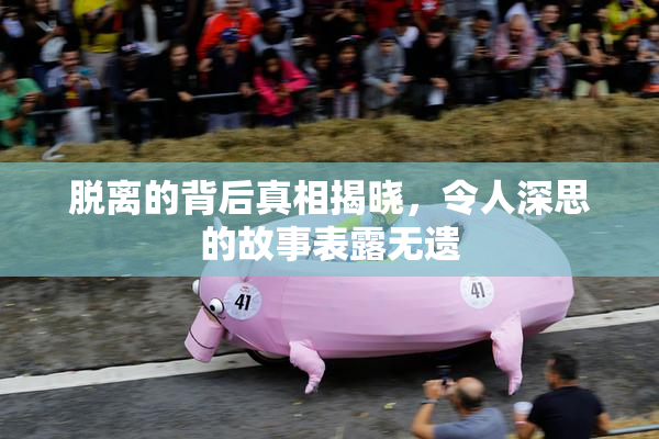 脱离的背后真相揭晓，令人深思的故事表露无遗