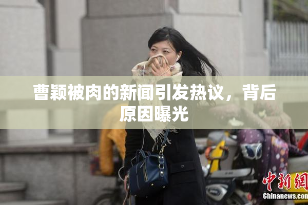 曹颖被肉的新闻引发热议，背后原因曝光