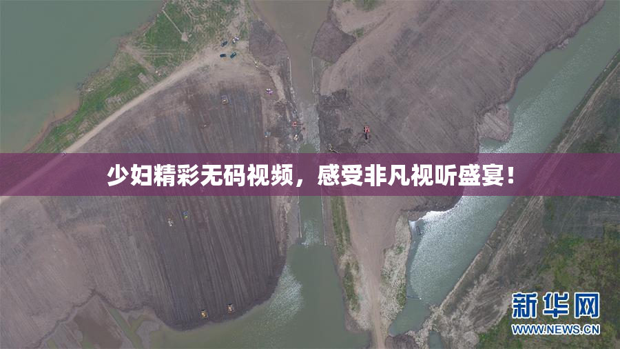 少妇精彩无码视频，感受非凡视听盛宴！