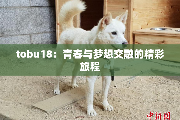 tobu18：青春与梦想交融的精彩旅程