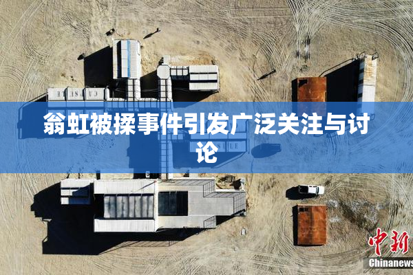 翁虹被揉事件引发广泛关注与讨论