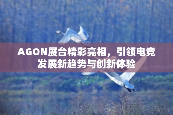 AGON展台精彩亮相，引领电竞发展新趋势与创新体验