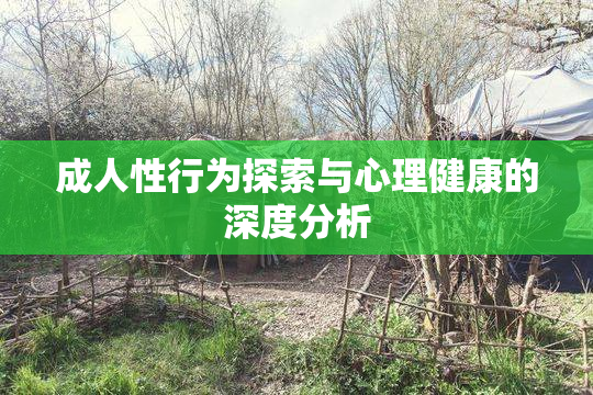 成人性行为探索与心理健康的深度分析