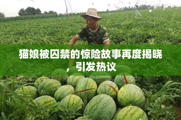 猫娘被囚禁的惊险故事再度揭晓，引发热议