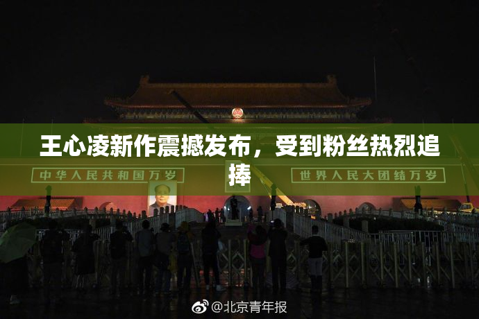 王心凌新作震撼发布，受到粉丝热烈追捧