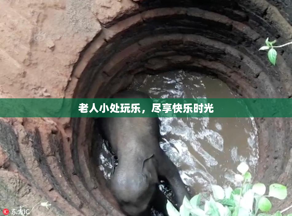 老人小处玩乐，尽享快乐时光