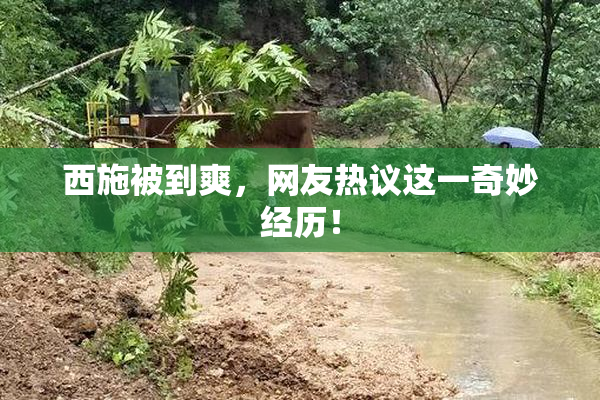 西施被到爽，网友热议这一奇妙经历！