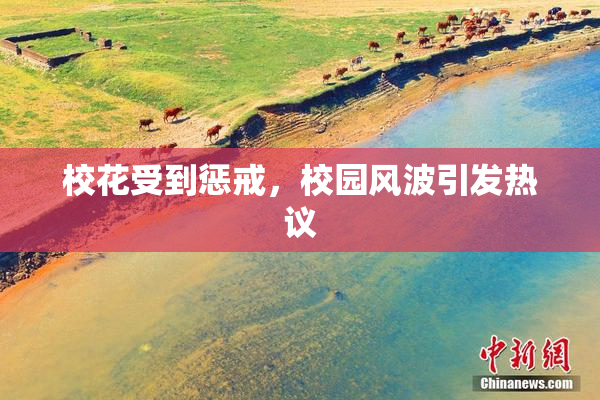 校花受到惩戒，校园风波引发热议