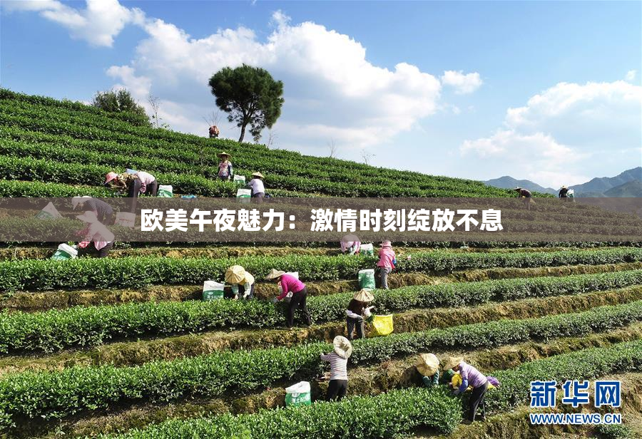 欧美午夜魅力：激情时刻绽放不息