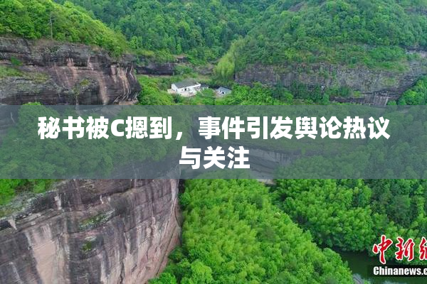 秘书被C摁到，事件引发舆论热议与关注