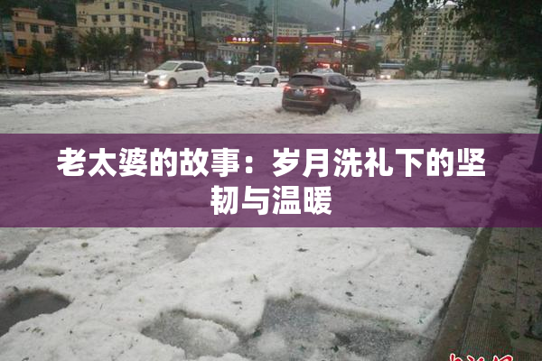 老太婆的故事：岁月洗礼下的坚韧与温暖