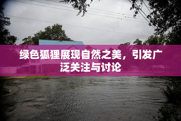 绿色狐狸展现自然之美，引发广泛关注与讨论