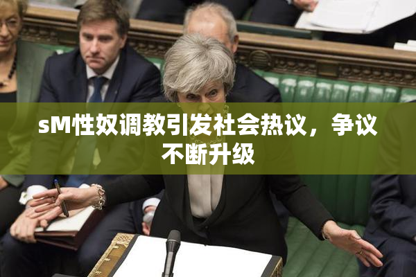 sM性奴调教引发社会热议，争议不断升级