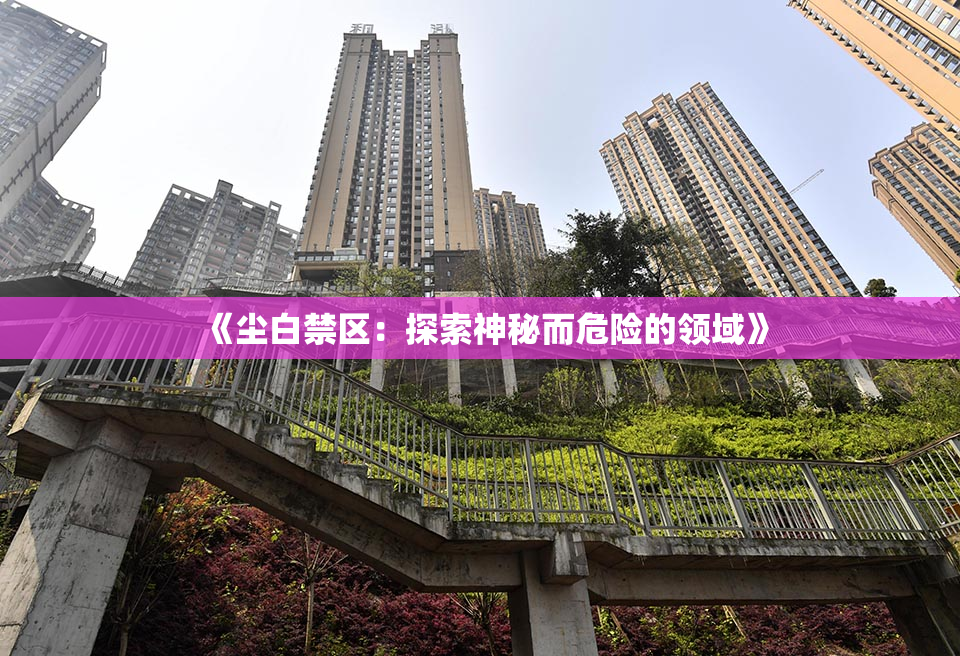 《尘白禁区：探索神秘而危险的领域》