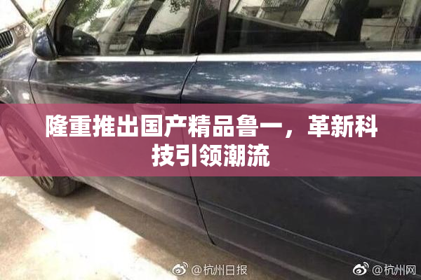隆重推出国产精品鲁一，革新科技引领潮流