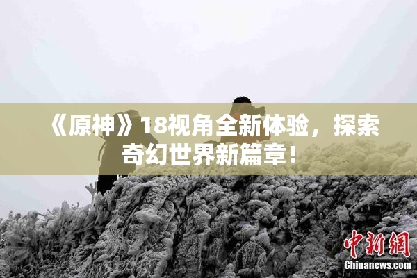 《原神》18视角全新体验，探索奇幻世界新篇章！