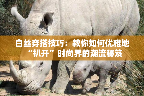 白丝穿搭技巧：教你如何优雅地“扒开”时尚界的潮流秘笈