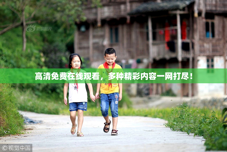 高清免费在线观看，多种精彩内容一网打尽！