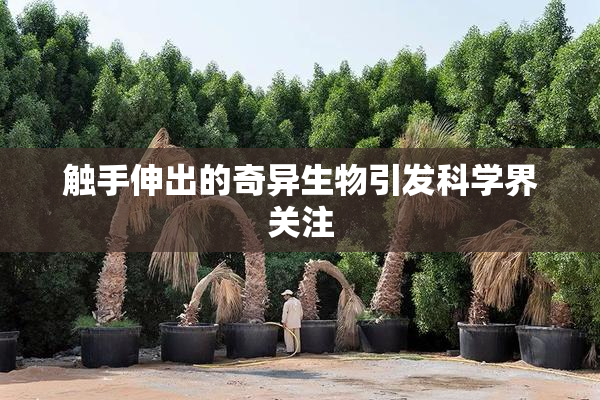 触手伸出的奇异生物引发科学界关注