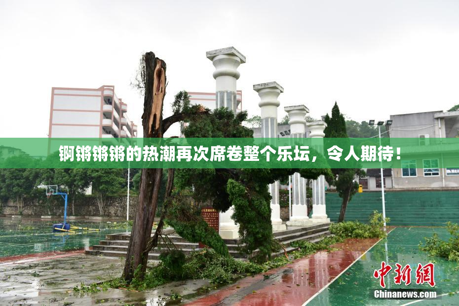 锕锵锵锵的热潮再次席卷整个乐坛，令人期待！