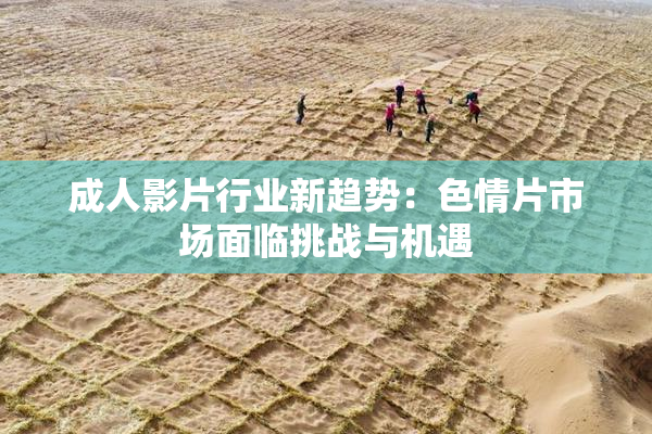 成人影片行业新趋势：色情片市场面临挑战与机遇
