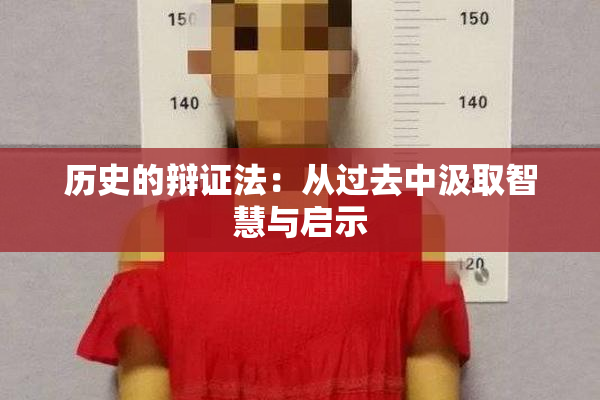 历史的辩证法：从过去中汲取智慧与启示
