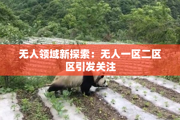 无人领域新探索：无人一区二区区引发关注