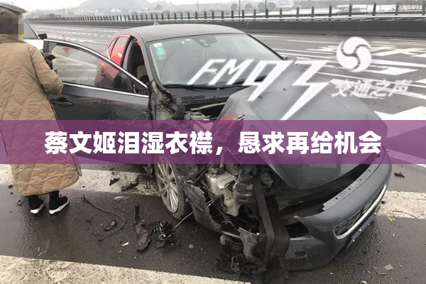 蔡文姬泪湿衣襟，恳求再给机会