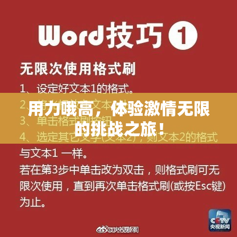 用力哦高，体验激情无限的挑战之旅！