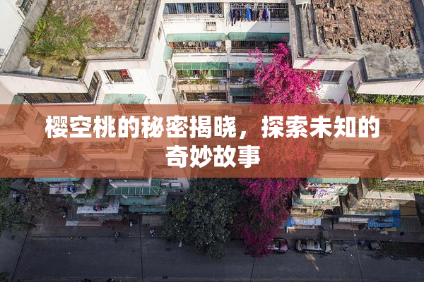 樱空桃的秘密揭晓，探索未知的奇妙故事
