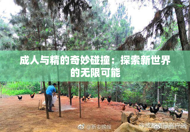 成人与精的奇妙碰撞：探索新世界的无限可能