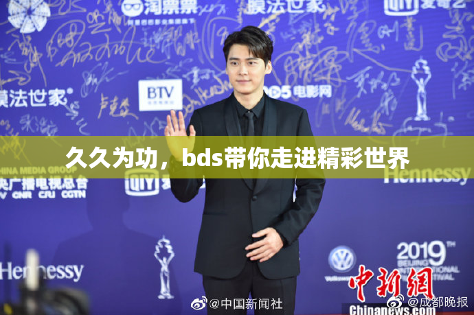 久久为功，bds带你走进精彩世界