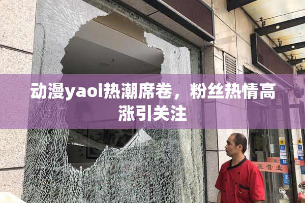 动漫yaoi热潮席卷，粉丝热情高涨引关注