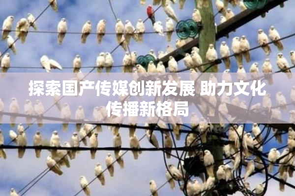 探索国产传媒创新发展 助力文化传播新格局