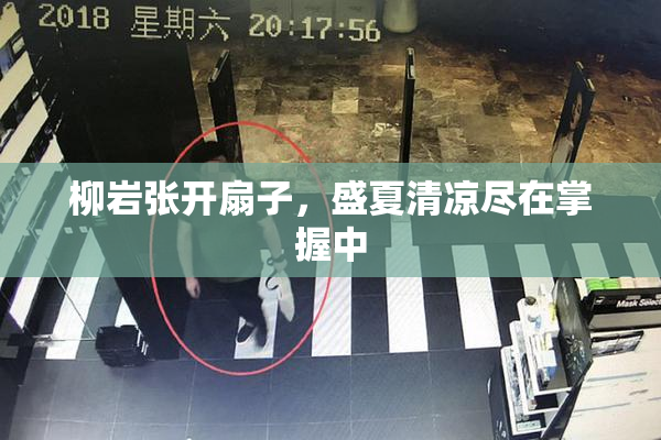 柳岩张开扇子，盛夏清凉尽在掌握中