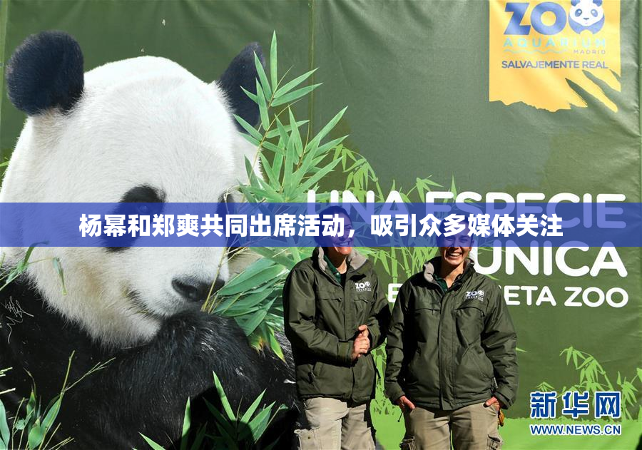 杨幂和郑爽共同出席活动，吸引众多媒体关注