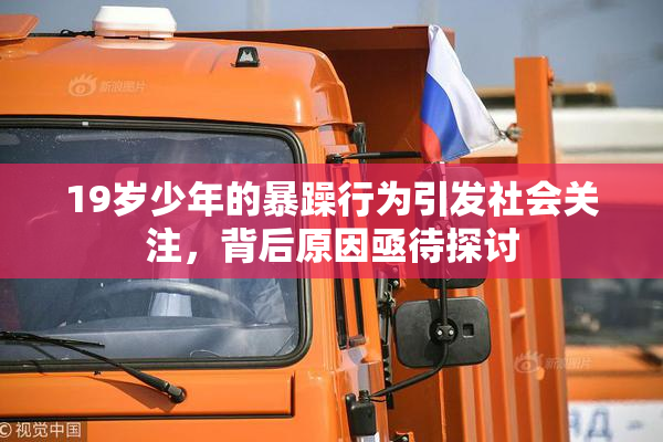 19岁少年的暴躁行为引发社会关注，背后原因亟待探讨