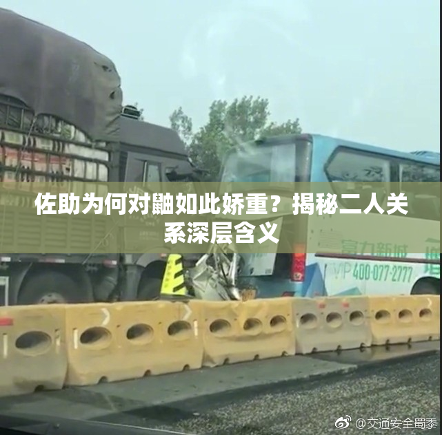 佐助为何对鼬如此娇重？揭秘二人关系深层含义