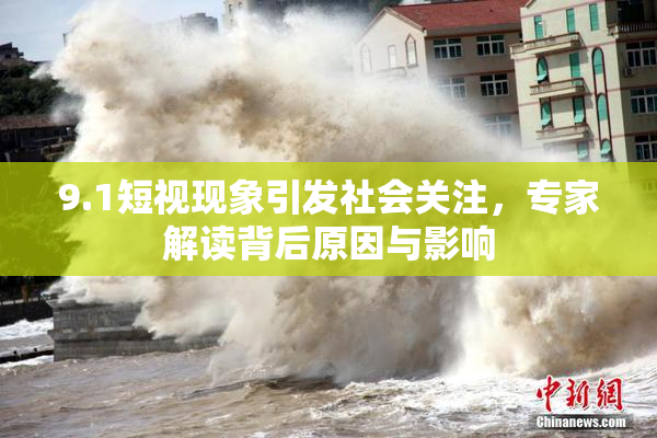 9.1短视现象引发社会关注，专家解读背后原因与影响