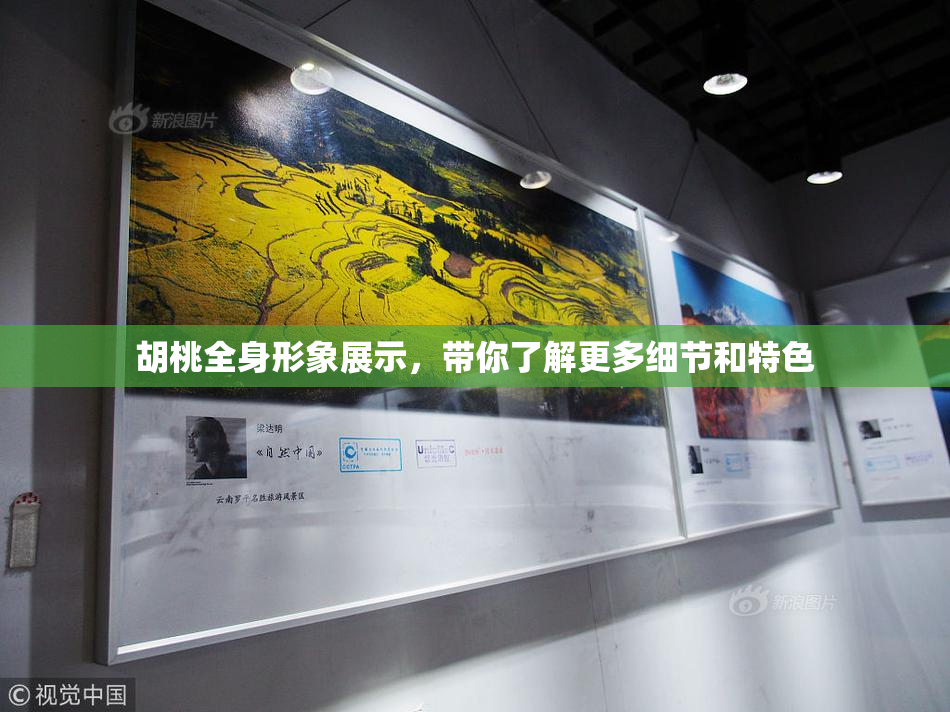 胡桃全身形象展示，带你了解更多细节和特色